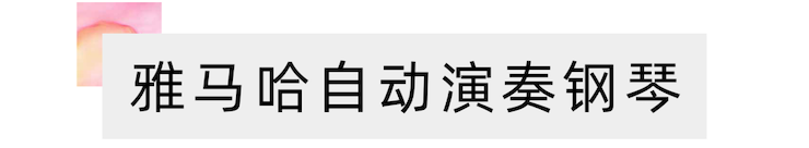 活动报道 | “科技助力，跨越时空”，小鹿纯子携手刘明康共享中日音乐盛宴