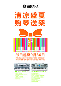 清凉盛夏，购琴送架 